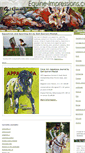 Mobile Screenshot of equine-impressions.com